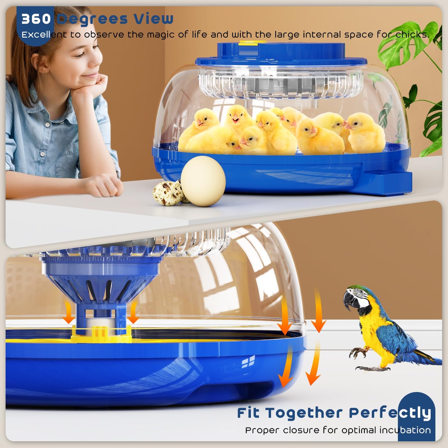 AsFrost Incubators for Hatching Eggs, 2025 Upgrade Chicken Egg Incubator with Precise Humidity & Temperature Control, Automatic Egg Turning, 8~40 Eggs Incubator for Chicken, Ducks, Goose, Quail -Blue