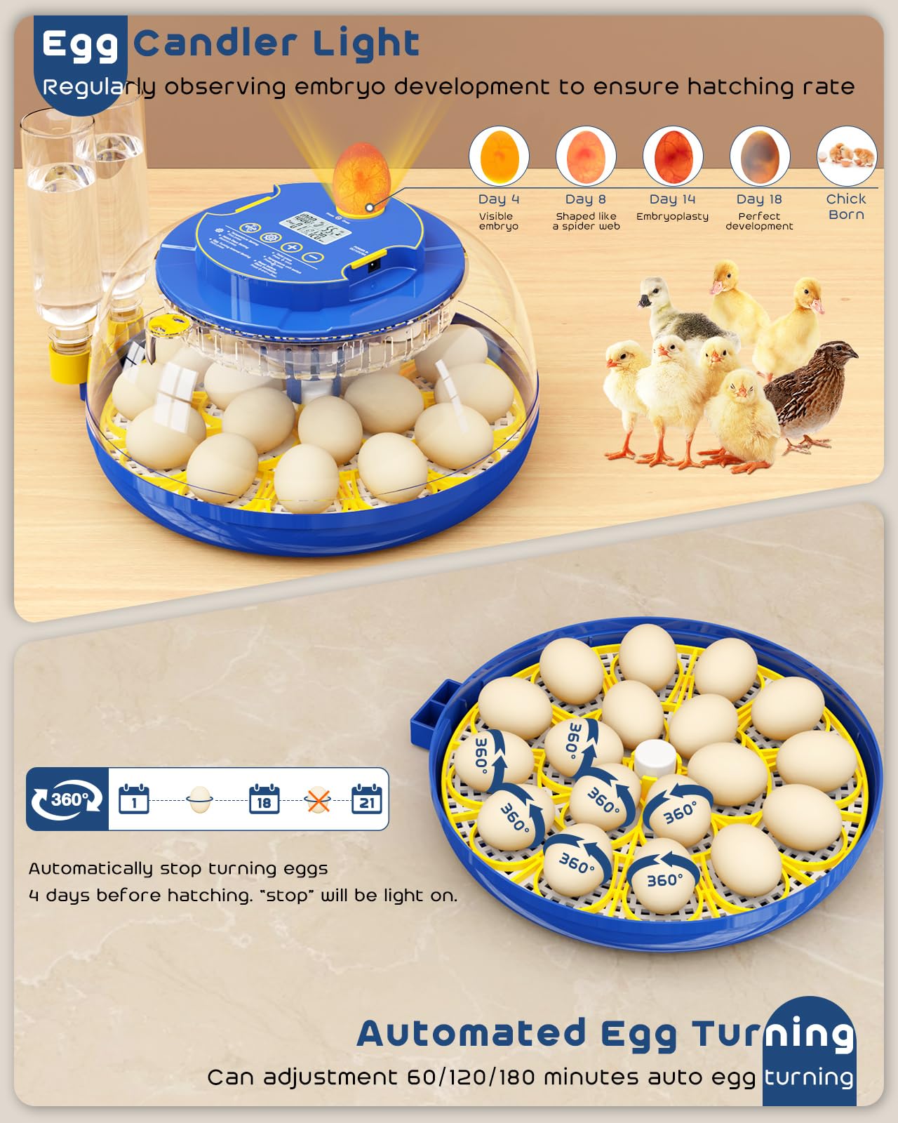 AsFrost Incubators for Hatching Eggs, 2025 Upgrade Chicken Egg Incubator with Precise Humidity & Temperature Control, Automatic Egg Turning, 8~40 Eggs Incubator for Chicken, Ducks, Goose, Quail -Blue