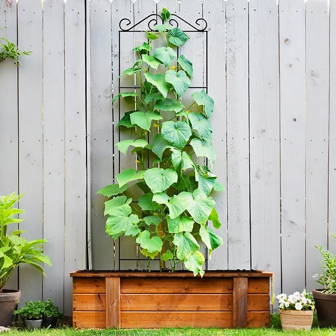 ARIFARO 47'' Metal Garden Trellis for Climbing Plants,(Pack of 4) Indoor/Outdoor Sturdy Plant Trellis for Potted Plants,House Plants, Climbing Vines, Black