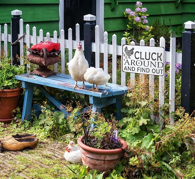 Funny Chicken Gifts Chicken Tin Sign for Home Farm Chicken Coop Farmhouse Kitchen Garden Decor 8 X 12 Inch (3021)