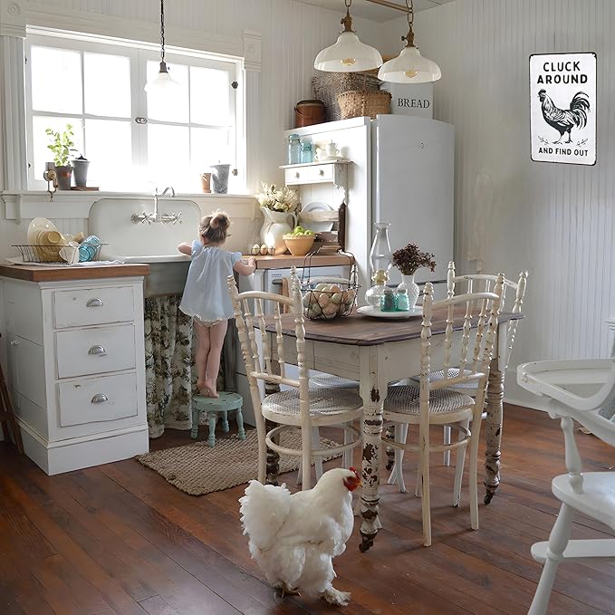 Funny Chicken Gifts Chicken Cluck Around and Find Out Tin Sign for Home Farm Chicken Coop Farmhouse Kitchen Garden Decor 8 X 12 Inch (3020)