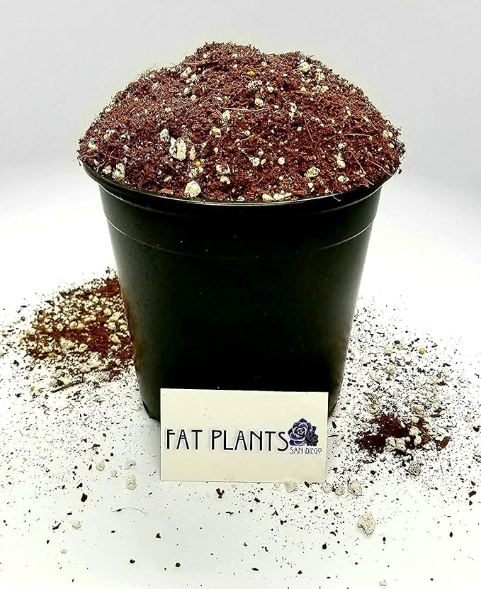 Fat Plants San Diego Premium Cacti and Succulent Potting Mix Soil - for Cactus Palm Tree Citrus Plant Grown in Gardening Containers - Indoors & Outdoors Use - with Natural Food/Fertilizer