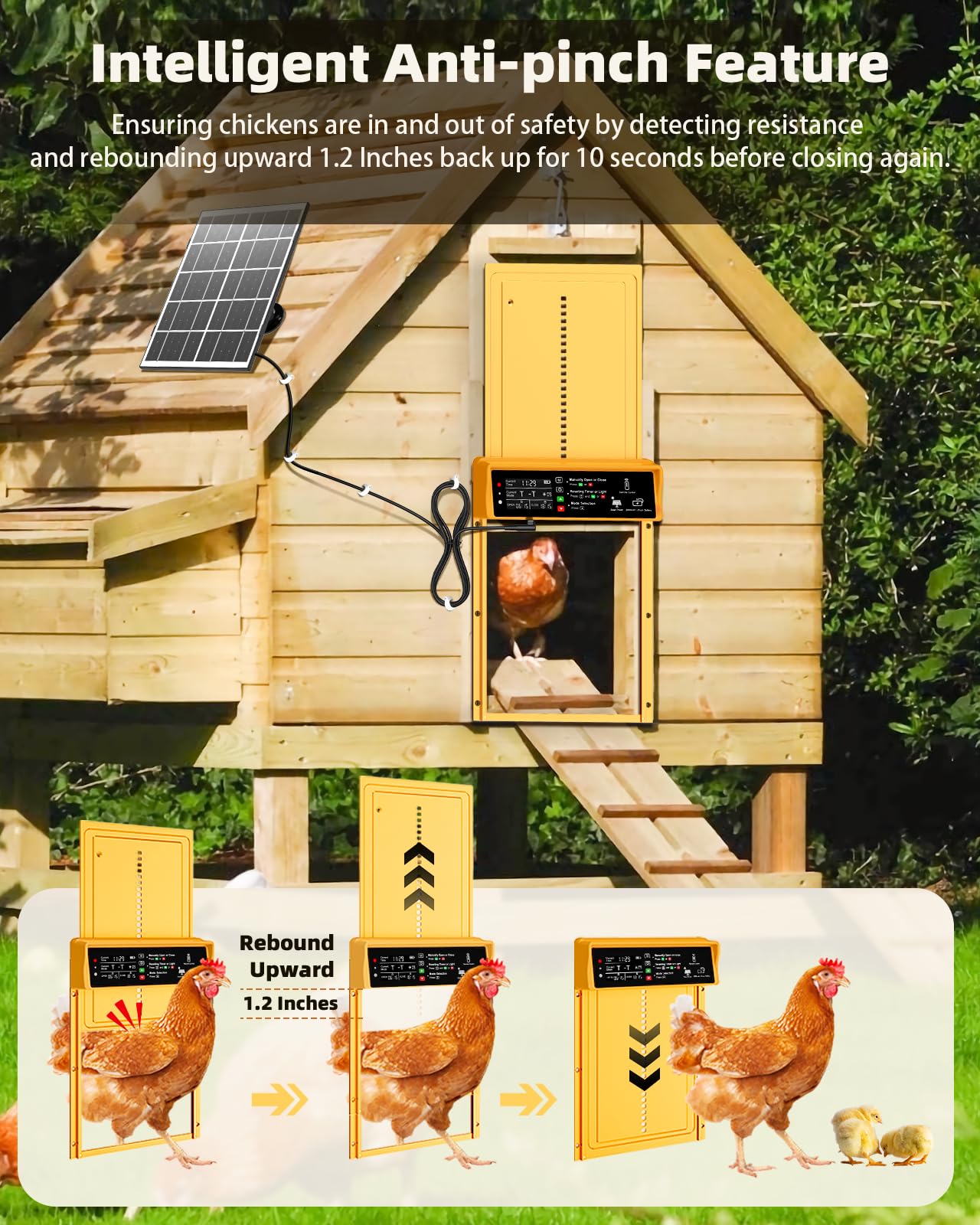 2025 Upgrade 7W Solar Power Chicken Door, Pet Deluxe Automatic Chicken Coop Door with 10PCS Wire Clip, Timer, Light Sensor, LCD Display & Anti-Pinch Durable Aluminum Auto Coop Door with 4 Modes-Gold