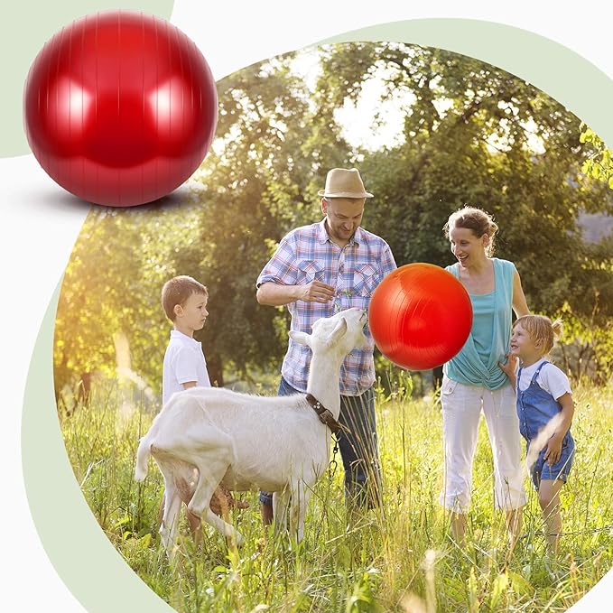 Sotiff 2 Pcs Herding Goat Ball Large PVC Exercise Training Ball with Inflator Pump for Dogs, Goats, Horses Outdoor Entertainment