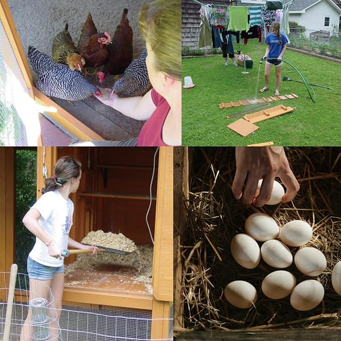 Hardware Cloth 1/2 inch 48 in x 50 ft 19 Gauge, Hot-dip Galvanized After Welding, Chicken Wire Fencing, Garden Fencing Welded Wire Cloth Garden Fence Chicken Coop/Run Wire