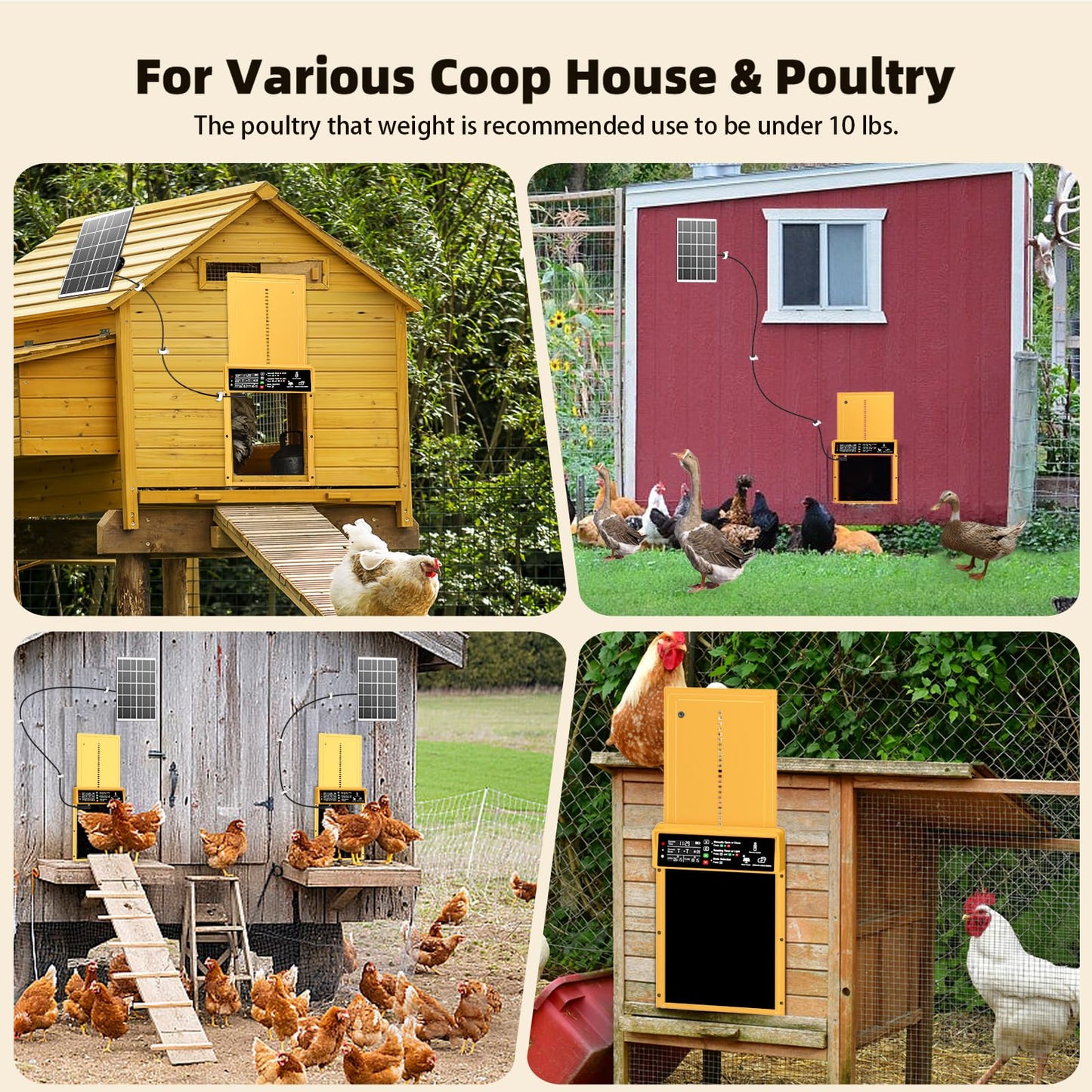 2025 Upgrade 7W Solar Power Chicken Door, Pet Deluxe Automatic Chicken Coop Door with 10PCS Wire Clip, Timer, Light Sensor, LCD Display & Anti-Pinch Durable Aluminum Auto Coop Door with 4 Modes-Gold