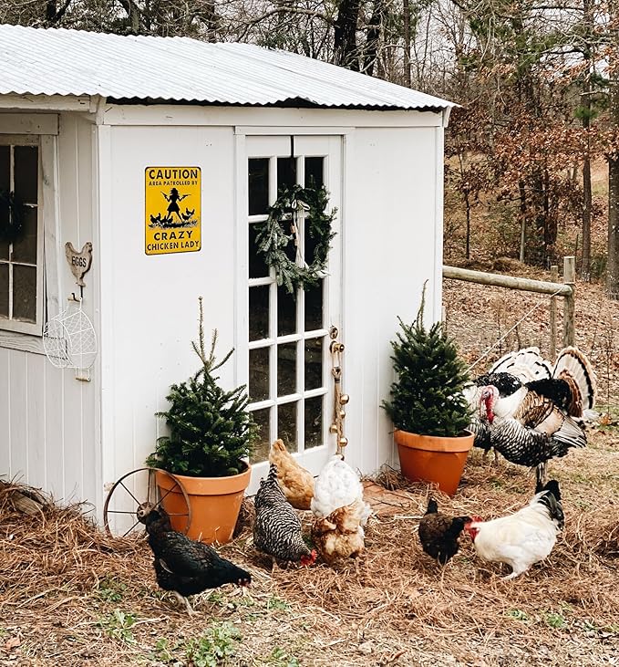 Funny Chicken Gifts Caution Area Patrolled By A Crazy Chicken Lady Tin Sign for Home Farm Chicken Coop Farmhouse Kicthen Garden Decor 8 X 12 Inch (3620)