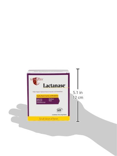Vita Flex Pro Lactanase Pre Performance, show safe* muscle and metabolism support