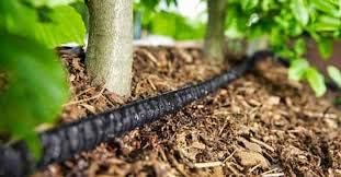 Rocky Mountain Goods 25 Foot Flat Weeper Soaker Hose - Drip Irrigation - Double Layer Design - Saves 70% Water - Consistent Drip Entire Length of Hose - Includes 3 Pressure Reducing Discs