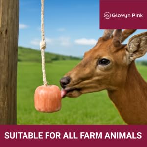 Glowyn Pink Himalayan Pink Salt Lick Pack of 3 (6lbs Each Block)- Mineral Salt Block on Rope 100% Organic Pink Salt Block for Horses Deer and Live Stock. Deer Attractant for Deer Hunting