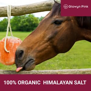Glowyn Pink Himalayan Pink Salt Lick Pack of 3 (6lbs Each Block)- Mineral Salt Block on Rope 100% Organic Pink Salt Block for Horses Deer and Live Stock. Deer Attractant for Deer Hunting