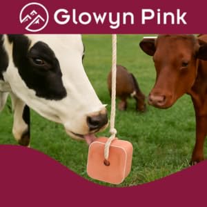 Glowyn Pink Himalayan Compressed Salt for Equine and Livestock Pack of 2 (4.4-4.9 lbs) Each Block Organic Salt Block with Natural Minerals