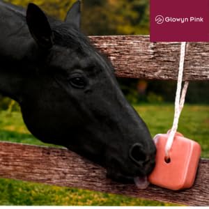 Glowyn Pink Himalayan Compressed Salt for Equine and Livestock Pack of 2 (4.4-4.9 lbs) Each Block Organic Salt Block with Natural Minerals