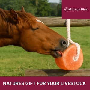 Glowyn Pink Himalayan Pink Salt Lick Pack of 3 (6lbs Each Block)- Mineral Salt Block on Rope 100% Organic Pink Salt Block for Horses Deer and Live Stock. Deer Attractant for Deer Hunting