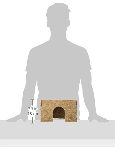 Rosewood Naturals Carrot Cottage House for Guinea Pigs, Chinchillas and Degus, Medium