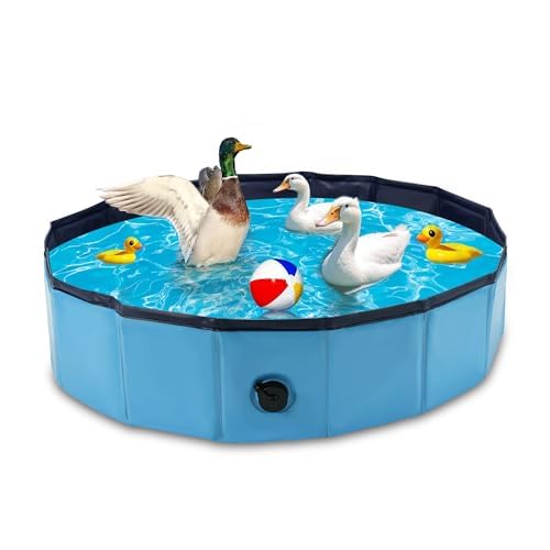 HOSASSPER Foldable Drainable Duck Pond Pool for Real Pet Ducks, Blue Hard Plastic Folding Small Swimming Pool with Drain Plug for Cat Dog for Indoor and Outdoor