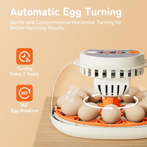 Egg Incubator with Temperature and Humidity Control, Automatic Egg Turner, Egg Candler, External Water Bottle Refill, Air Vent, 360° Clear View, Hatching Chicken Duck Quail Bird, APDOE HatchPro 12