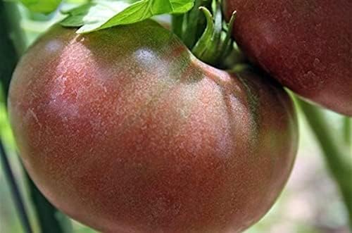 Bmore Spicy Giant Tomato Seed Combo Pack – Over 600 Heirloom & Rare Seeds – Black from Tula, Brandywine, Beefsteak, Cherry, Paste & More – Indeterminate & Diverse Garden Collection