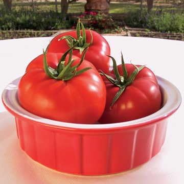 Park Seed Variety of Tomato Seeds, Planting Vegetables, Easy to Grow, Non-GMO, Perfect for Harvesting, Mater Sandwich Hybrid Organic, Pack of 20
