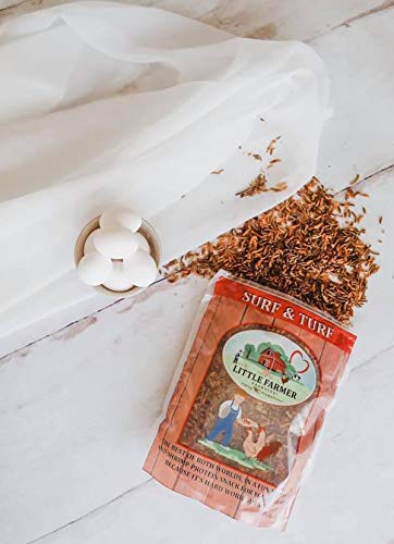 LITTLE FARMER PRODUCTS Surf & Turf | Dried River Shrimp & Mealworm Chicken Treat Premium Poultry Mix | 1 lb