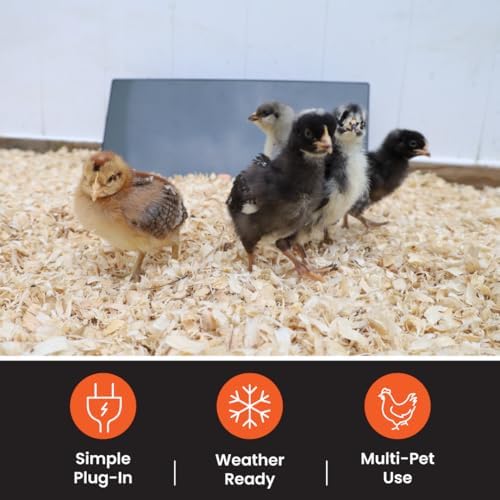 Cozy Products Cozy Chickens Coop, Flat-Panel Radiant Heater with Thermal Protector, Energy-Efficient, Easy to Install, Ideal for Small Animals, Chicken Coop Accessories, 150 Watts