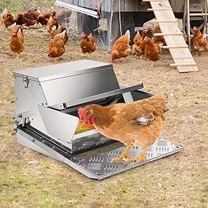 RYFT Automatic Chicken Feeder 25 lb Galvanized Steel Poultry Feeder, Up to 12 Chickens 10 Days with Weatherproof Lid, for Chickens, Ducks, Fowl