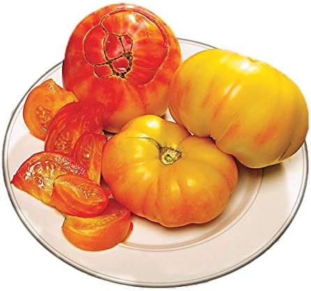 Park Seed Variety of Tomato Seeds, Planting Vegetables, Easy to Grow, Non-GMO, Perfect for Harvesting, Pineapple, Pack of 30