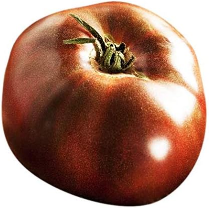 Black Brandywine Heirloom Tomato Seeds - Large Tomato - One of The Most Delicious Tomatoes for Home Growing,
