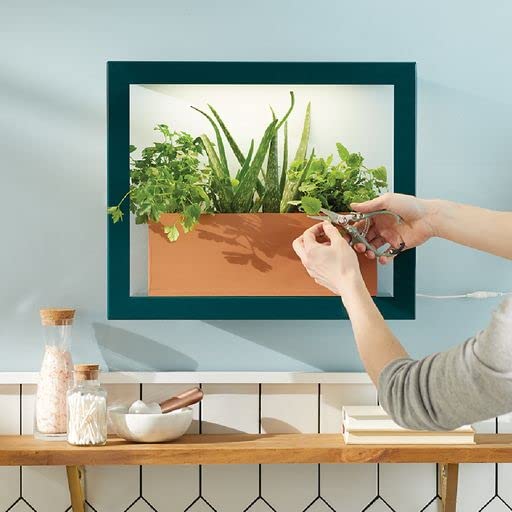 Modern Sprout Smart Growframe Wall Mounted LED Grow Light with Shelf - Emerald