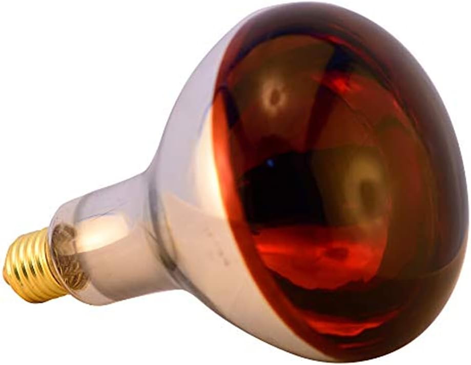 BONGBADA Heat Lamp Bulb R115 250 Watt 2 Pack Infrared Glass Lamp Bulb for Food Service, Brooder Bulb, Chicks, Pet, Bathroom, Light Therapy, Reptiles and Amphibian Use E26 Base