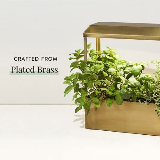 Modern Sprout Smart Growhouse - LED Grow Light for Indoor Plants - Plant Grow Light for Indoor Gardening System - Countertop Planter for Herb Garden with Smart App Control - Brass