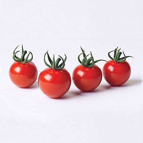 Park Seed Cherry Tomato Seeds, Planting Vegetables, Easy to Grow, Non-GMO, Variety of Colors and Sizes, Spring Garden, Braveheart Hybrid Cherry, Pack of 15