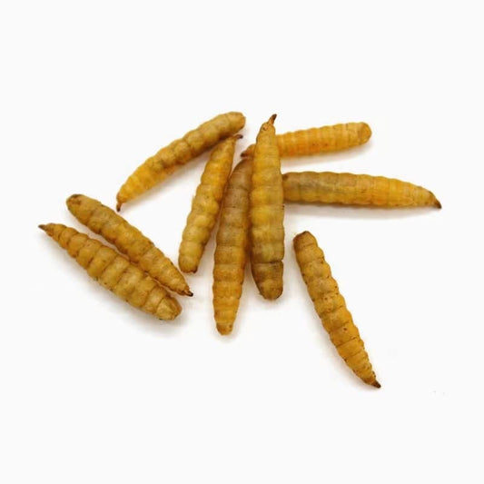 GRUBSFARM Premium Chicken Treats 2LB - Non-GMO & 85X More Calcium Than Meal Worms - Molting & Laying Supplement - BSF Larvae Treats for Layer Hens, Ducks Wild Birds