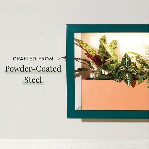 Modern Sprout Smart Growframe Wall Mounted LED Grow Light with Shelf - Emerald