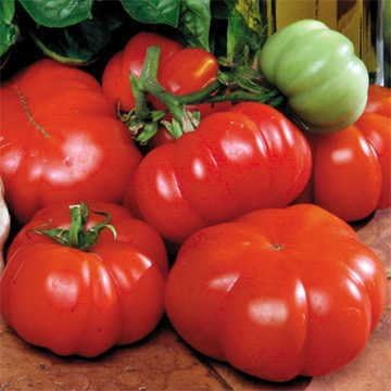Park Seed Variety of Tomato Seeds, Planting Vegetables, Easy to Grow, Non-GMO, Perfect for Harvesting, Costoluto Genovese, Pack of 30