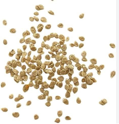 Black Cherry Tomato Seeds - Delicious in Salads
