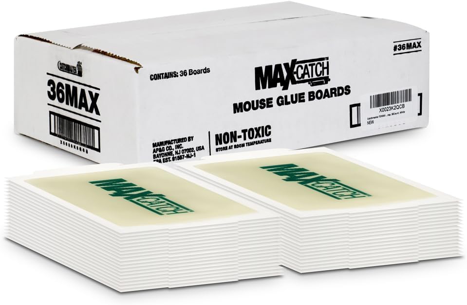 Catchmaster Max-Catch Mouse & Insect Glue Trap 36pk, Mouse Traps Indoor for Home, Sticky Pest Control Adhesive Tray for Catching Bugs, Rats & Rodents, Bulk Classic Glue Boards