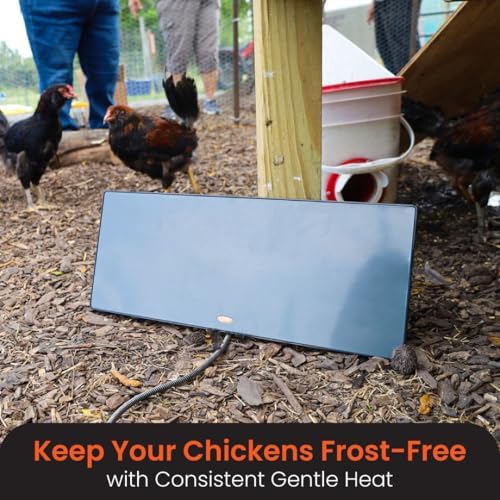 Cozy Products Cozy Chickens Coop, Flat-Panel Radiant Heater with Thermal Protector, Energy-Efficient, Easy to Install, Ideal for Small Animals, Chicken Coop Accessories, 150 Watts