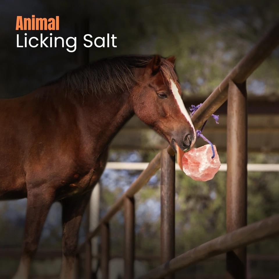 4 Premium Himalayan Horse Salt Lick 5–6 lbs Each Treat Block | Equine Mineral Salt Block with 36″ Rope | Horse Treats for Horses, Deer, Goats & Livestock