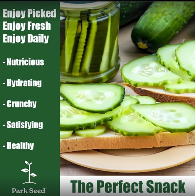 Park Seed Variety of Cucumber Seeds, Planting Cucumbers, Vegetable Seeds, Easy to Grow, Non-GMO, Perfect for Harvesting, Baby Hybrid, 2 x Pack of 10