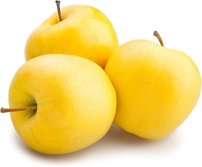 American Plant Exchange Live Golden Delicious Apple Tree, Fruit-Bearing Plant Pot for Harvest and Home and Garden Decor, 2-3' Tall, 5-Gallon Pot, Self-Pollinating Fruit