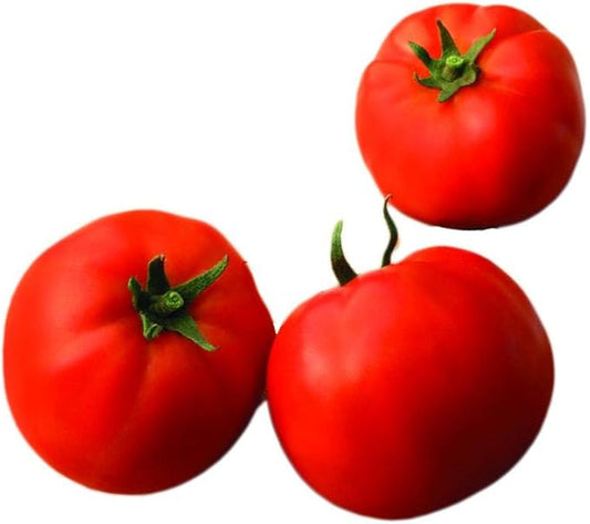 Park Seed Variety of Tomato Seeds, Planting Vegetables, Easy to Grow, Non-GMO, Perfect for Harvesting, Big Yummy Hybrid, Pack of 25