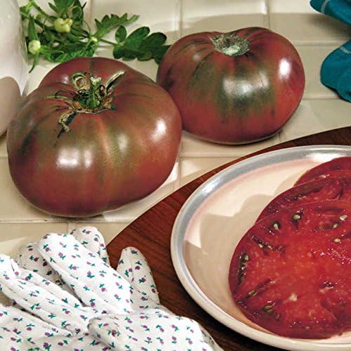 Park Seed Variety of Tomato Seeds, Planting Vegetables, Easy to Grow, Non-GMO, Perfect for Harvesting, Cherokee Purple Organic, Pack of 30