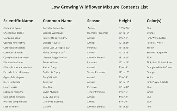 Seed Needs Low Growing Wildflower Flower Seeds for Planting | 1 Ounce Mixture/Blend 17 Varieties | Resealable Package Multicolored Blooms Open Pollinated Mixed Species | Bulk