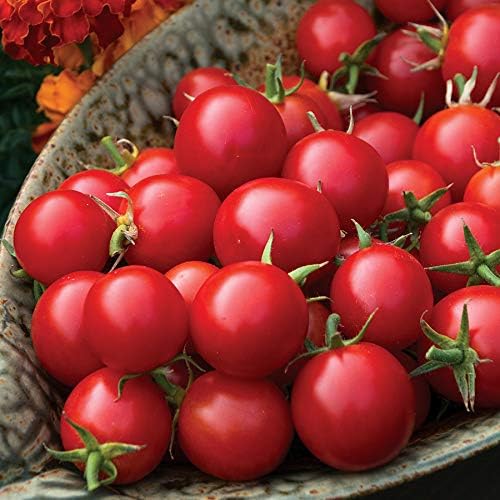 Park Seed Cherry Tomato Seeds, Planting Vegetables, Easy to Grow, Non-GMO, Variety of Colors and Sizes, Spring Garden, Organic Sakura Red, Pack of 10
