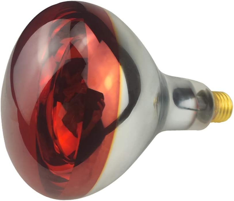 BONGBADA Heat Lamp Bulb R40 250 Watt 2 Pack Painted Red Infrared Glass Lamp Bulb for Food Service, Brooder Bulb, Chicks, Pet, Bathroom.
