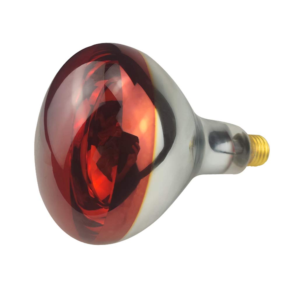 BONGBADA Heat Lamp Bulb R40 250 Watt 2 Pack Painted Red Infrared Glass Lamp Bulb for Food Service, Brooder Bulb, Chicks, Pet, Bathroom.