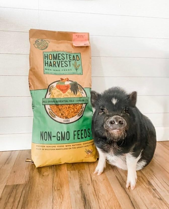 Wholesome Harvest Non-GMO Potbelly & Mini Pig Grower Feed 10 lbs