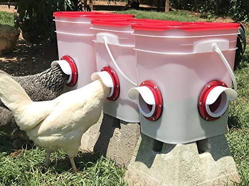 RentACoop 20lb BPA-Free Chicken Feeder with Large Ports - Includes Lid, Anti-Roost Cone, Ports, Rain Hoods - Suitable for Chickens - Corner Placement