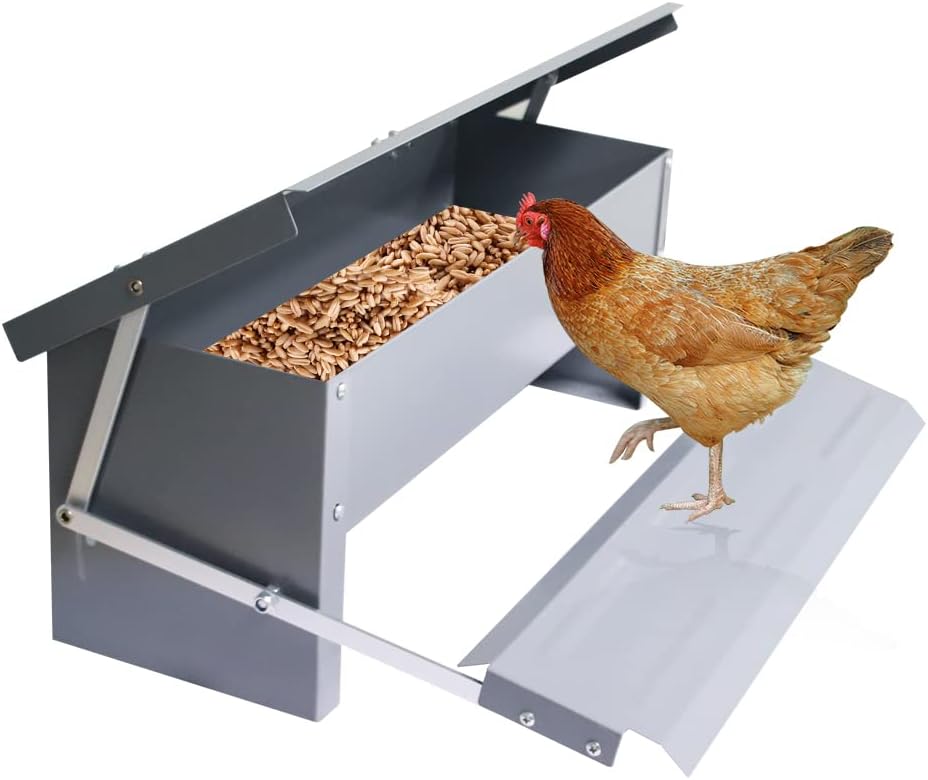 APlayfulBee Automatic Chicken Feeder 5L Treadle Galvanized Steel Poultry Feeders Self-Opening Automatic Food, with Weatherproof Lid Rain Cover for Roosters Pheasant Chicken Outdoor Coop
